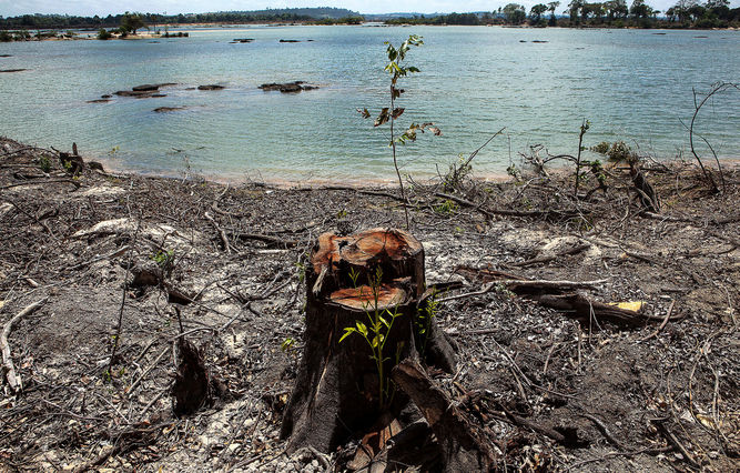 “Belo Monte: etnocídio, violência e sacrifício” – Por Maíra Brum Rieck