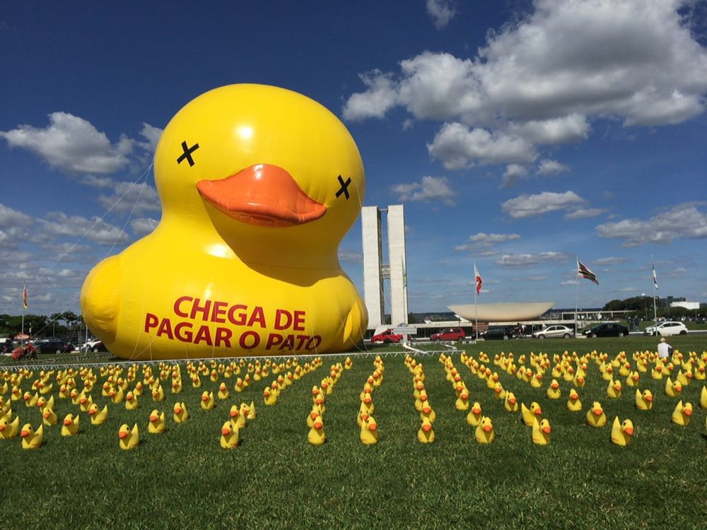 Pena de pato não encharca (ou sobre como Bolsonaro não se importa). Por Nathália Meneghine dos S. Rodrigues